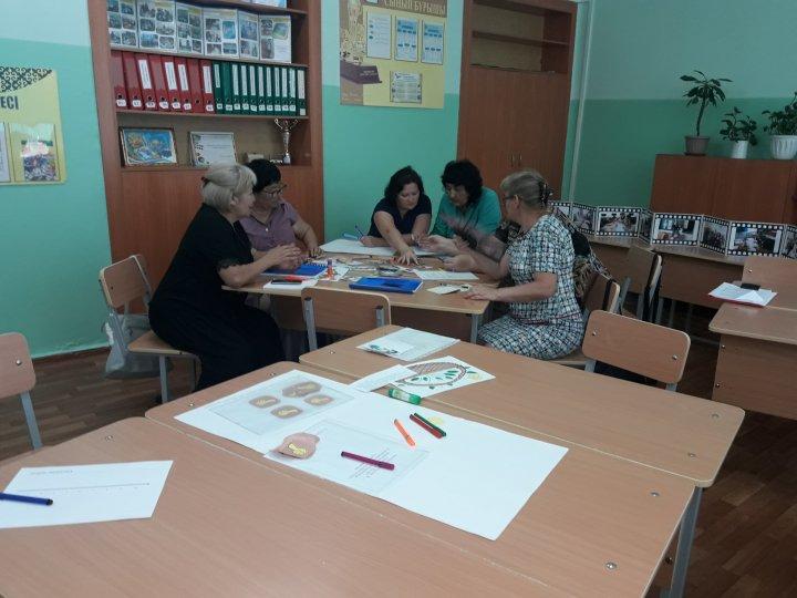 Опыт внедрения подхода LESSON  STUDY:  проблемы и перспективы.